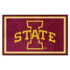 Iowa State Rug 4'x6'