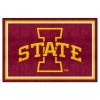 Iowa State Rug 5'x8'