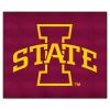 Iowa State Tailgater Rug 5'x6'