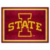 Iowa State 8'x10' Rug
