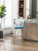 COOLMORE Bar Stools with Back and Footrest Counter Height Dining Chairs 2PC/SET